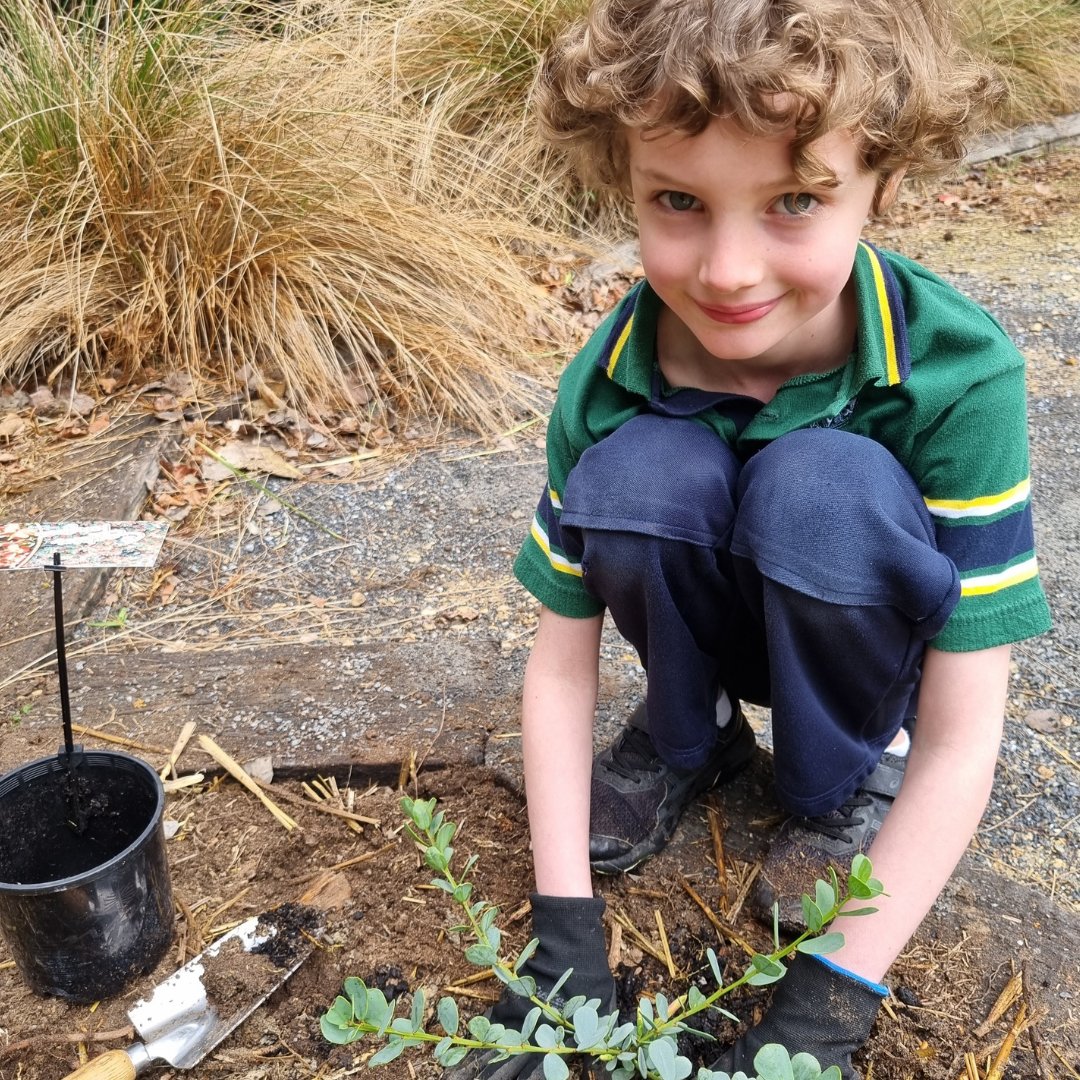 St Catherine’s School in SA 💚🦎 “lizard garden”

📢🎁win one of 25 school garden grants, valued at $1,000 thanks to our major partner <a href="/BakersDelightAU/">Bakers Delight</a> Healthy Solutions range.

🖱️bit.ly/4aEKwbU

#Schoolgarden #schoolgrant #gardengrant #LifeEdxBakersDelight