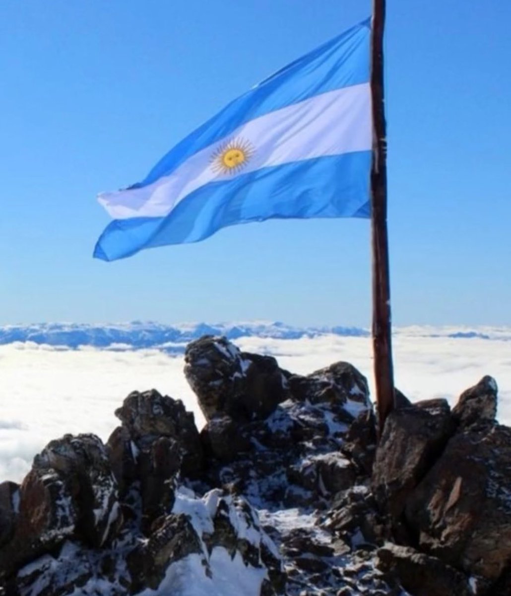 SergioBarrionuevo (@sergbarrionuevo) on Twitter photo 