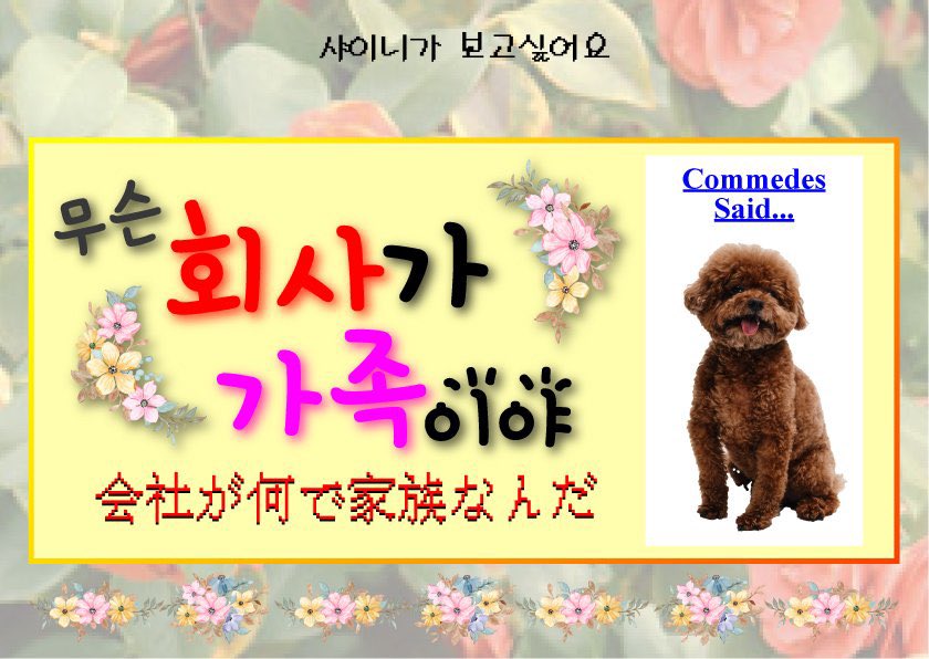 jmjt__'s tweet photo. おキー様が全て正しいでございます https://t.co/eM12FvkJY2