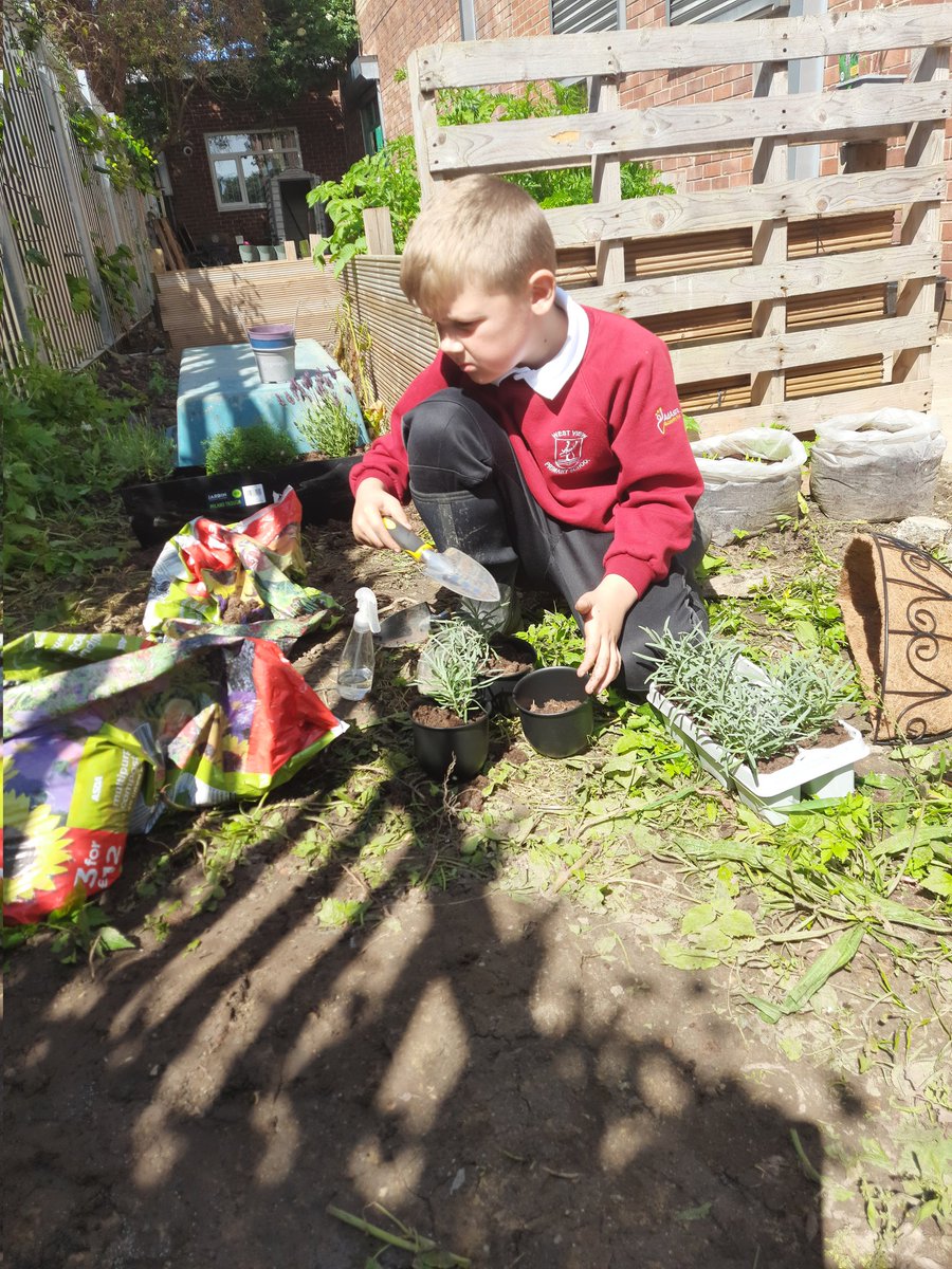 Tracey Herrington (@grannyherro) on Twitter photo It's never too young to start shaping and deciding how your area looks. Voices of young people are being nurtured as we develop our community garden <a href="/ThriveTeesside/">Thrive Teesside</a> <a href="/ApleCollective/">APLE Collective</a> #APLEMonth2024 It's never too young to start shaping and deciding how your area looks. Voices of young people are being nurtured as we develop our community garden <a href="/ThriveTeesside/">Thrive Teesside</a> <a href="/ApleCollective/">APLE Collective</a> #APLEMonth2024