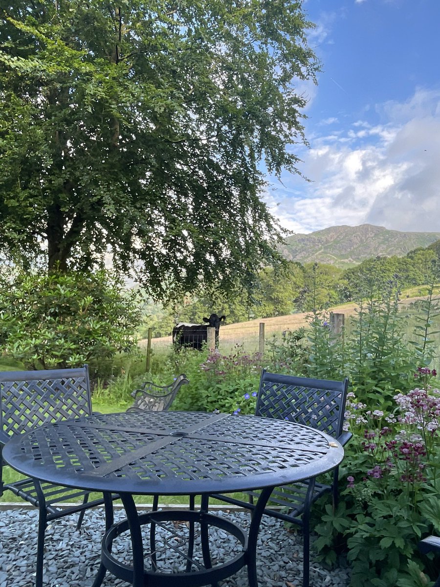 Mrs B(ale) 🐿️ ✨ 🎄 tweet media