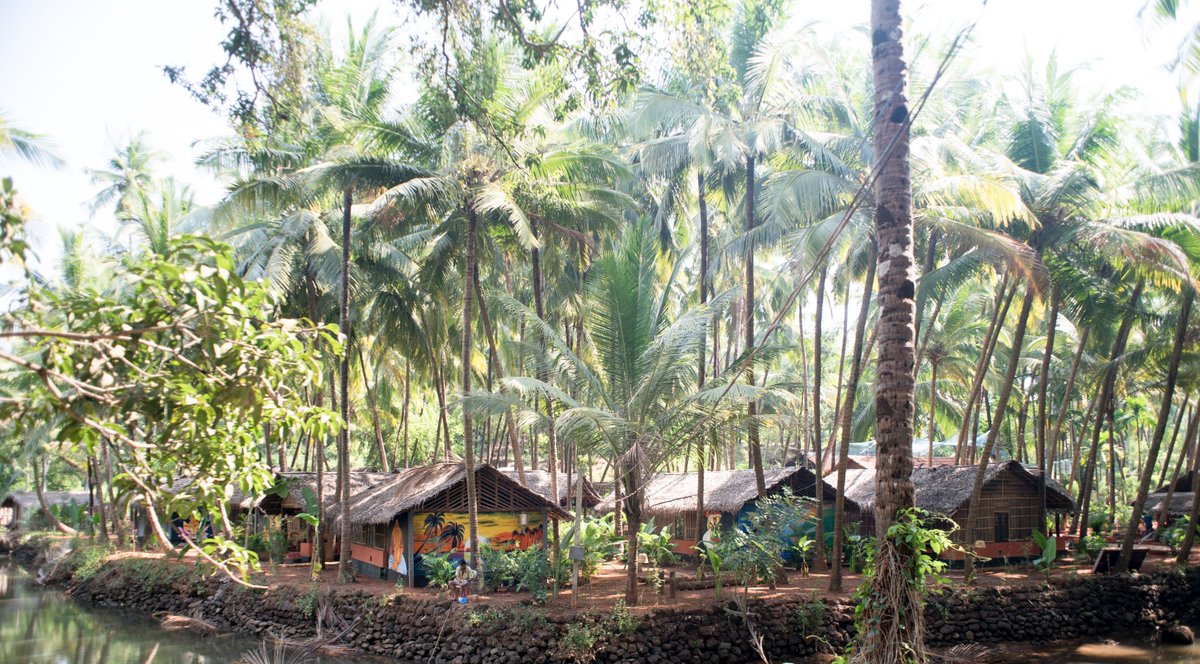 Happy #InternationalYogaDay! 

Discover your perfect oasis for mindfulness and relaxation at these serene Airbnb stays 🧘🌿