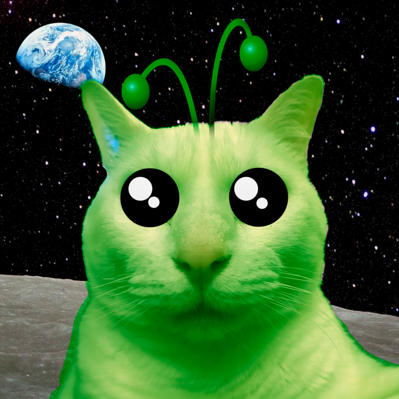 Alien Cat CTO tweet media