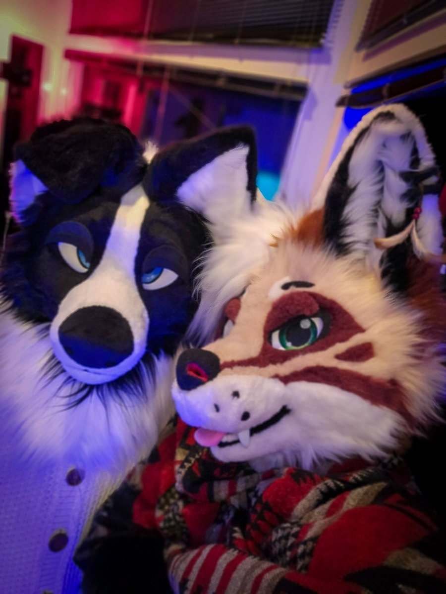 GUYS LOOK, I FOUND A CUTE PUPPER! Can we keep him?? 🥺👉👈
🐶 <a href="/thatjumpingdog/">Hendrix</a>
#FursuitFriday