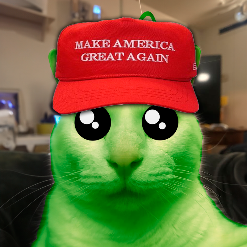 Alien Cat CTO tweet media