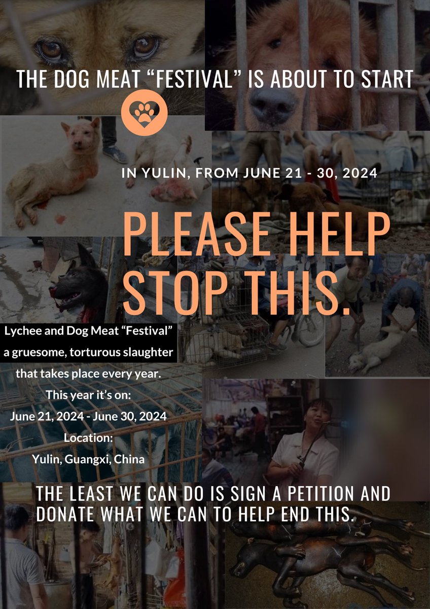 petsanimalslove's tweet photo. This Yulin Dog Meat barbaric slaughter “Festival” is about to start their unspeakable cruelty on dogs &amp; cats. This must stop! 🐶🐾💔
Sign the petition linked in our bio to end this horror &amp; share to spread awareness. #EndYulin2024 #EndAnimalCruelty #SaveTheDogs https://t.co/cAP30886vU