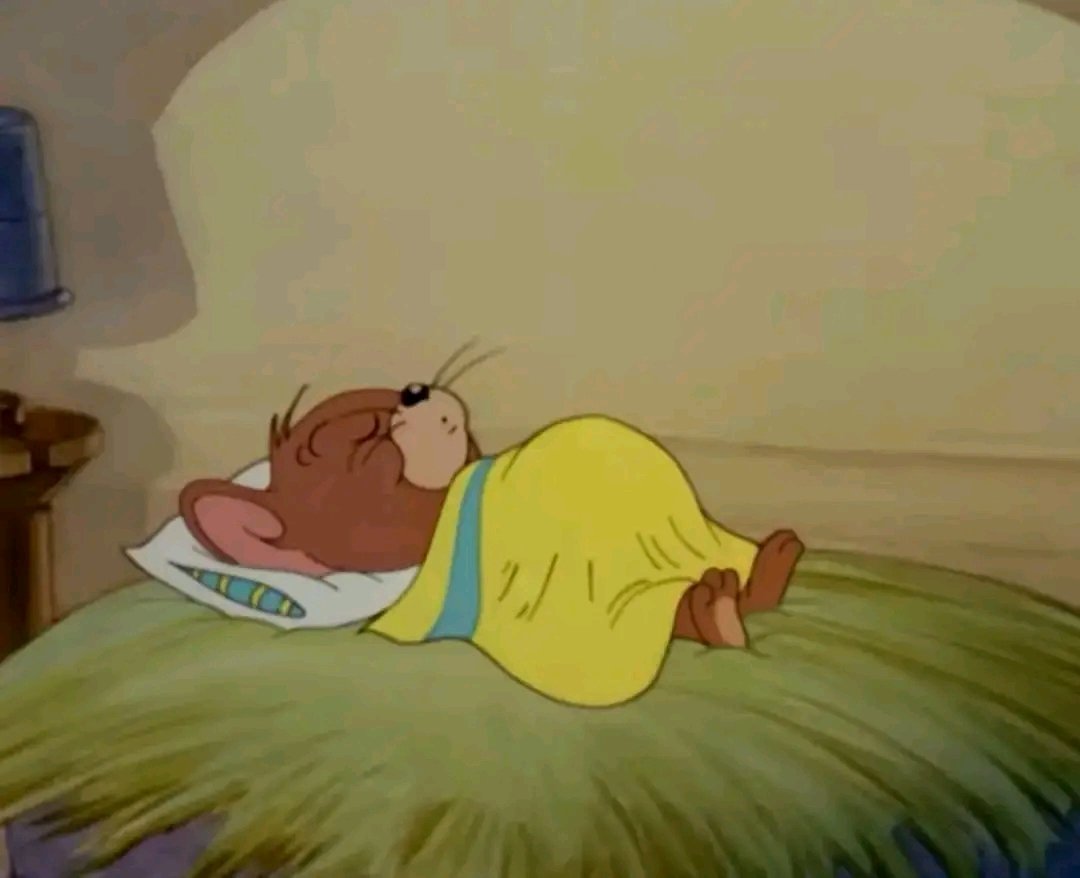 2019:                                        2024: