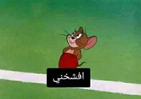 قررت ابقى راجل واقاوم ميولي كسالب
- انا اول م نزلت الشارع وشفت حد تايبي