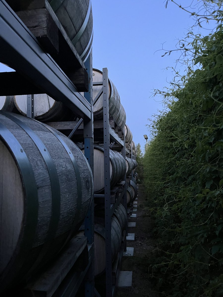 Happy solstice!  From sunup (4:45 am) till sundown (9:31pm) we were able to make just about two barrels of whisky. Also planted a few oak trees that my grandchildren can make barrels from. Transplanted some oregano just in case ? And of course started picking peonies.