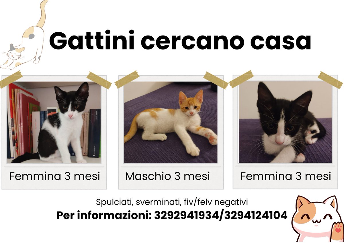 Federico Mento (@fed_mento) on Twitter photo Abbiamo in stallo 3 gattini, abbandonati nella colonia felina di #PiazzaVittorio. Siamo alla ricerca di adozioni. Scrivete in privato per informazioni #gatti #gatto #kitten #adozione <a href="/enpaonlus/">Enpa Odv</a> <a href="/enparoma/">Enpa Sezione di Roma</a> <a href="/MondoGattoSD/">MondoGattoSD</a> Abbiamo in stallo 3 gattini, abbandonati nella colonia felina di #PiazzaVittorio. Siamo alla ricerca di adozioni. Scrivete in privato per informazioni #gatti #gatto #kitten #adozione <a href="/enpaonlus/">Enpa Odv</a> <a href="/enparoma/">Enpa Sezione di Roma</a> <a href="/MondoGattoSD/">MondoGattoSD</a>