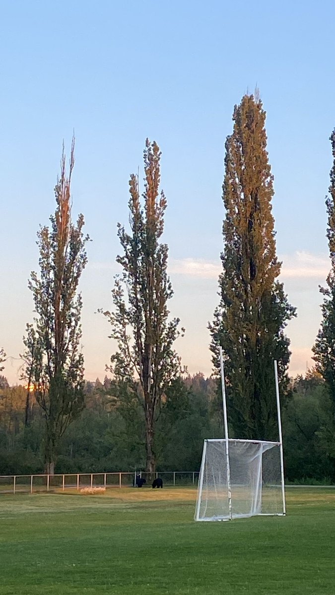 ISSC Vancouver GAA Club tweet media