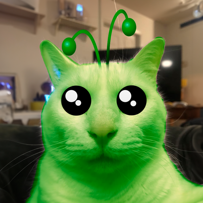 Alien Cat CTO tweet media