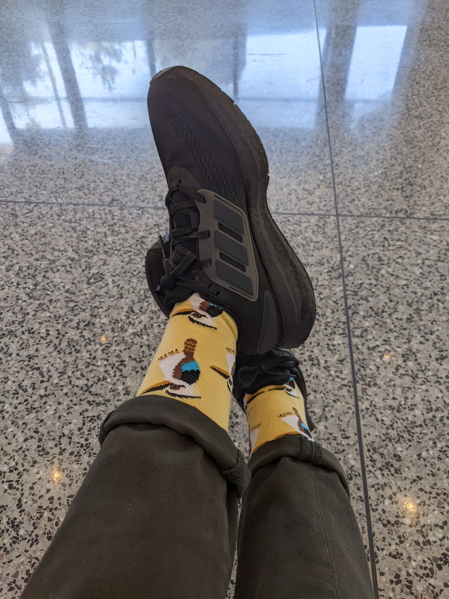 tomatojtam's tweet photo. Repping the kookaburra today at the #CVBirdWalk 🐦 Of course I had brought along my @ComputerSociety hat to keep the UV away.
Sadly, I was only 1 number away from winning @AMD 's Radeon at the lucky draw 😡 I'm hoping that kisses from the pupper means better luck for tmr! https://t.co/tLeu5LVvhS