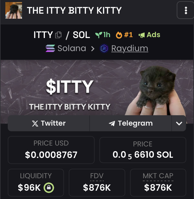 ittybkitty's tweet photo. meow, $ITTY the BITTY KITTY is #1 on dexscreener... 

3YG6591aJ1KzyYDGXzSsYQBzByTmtkyfUHDYjUaqpump https://t.co/6VHSEl9MRp