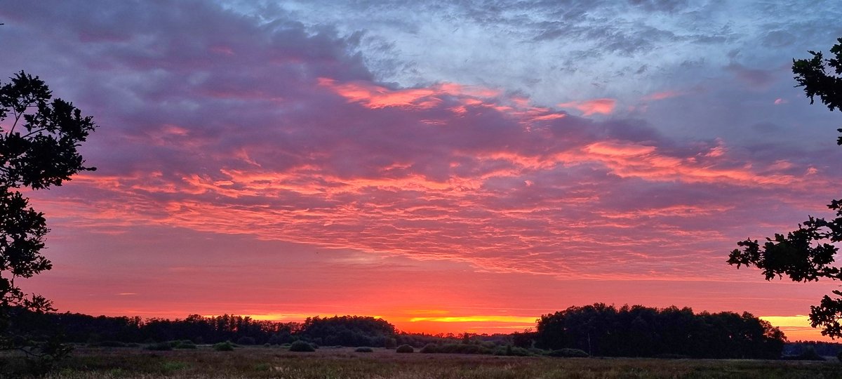 André Brasse 💚 (@andrebrasse) on Twitter photo Zonsondergang 20 juni boven de gemeente <a href="/Noordenveld/">Gemeente Noordenveld</a>. Foto met phone gemaakt bij #Langelo Zonsondergang 20 juni boven de gemeente <a href="/Noordenveld/">Gemeente Noordenveld</a>. Foto met phone gemaakt bij #Langelo
