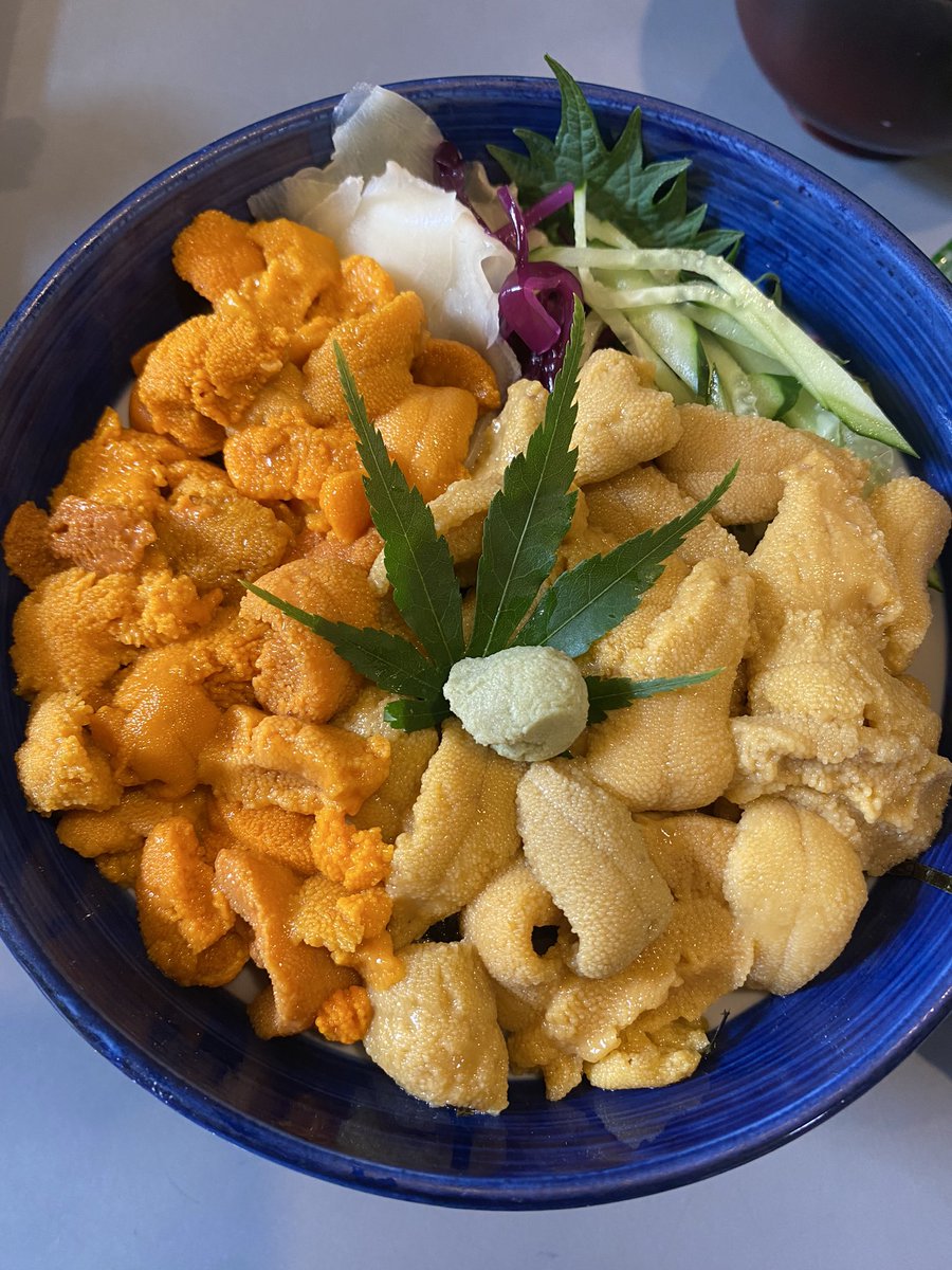 今日はうに丼じゃー