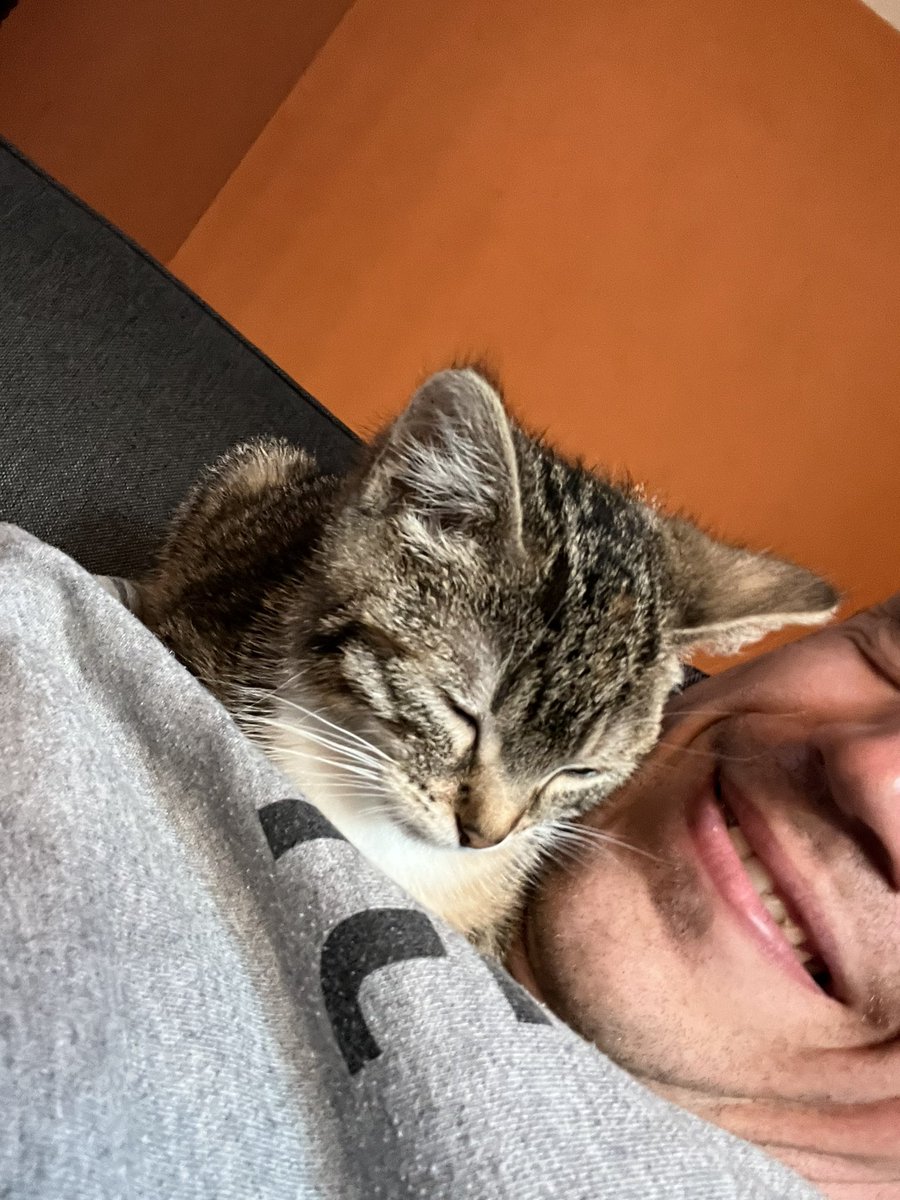 Haℕs De Leeℕheer tweet media