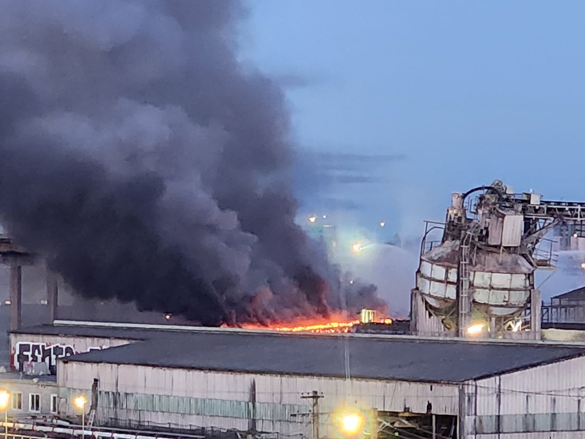 telf maynard tweet media