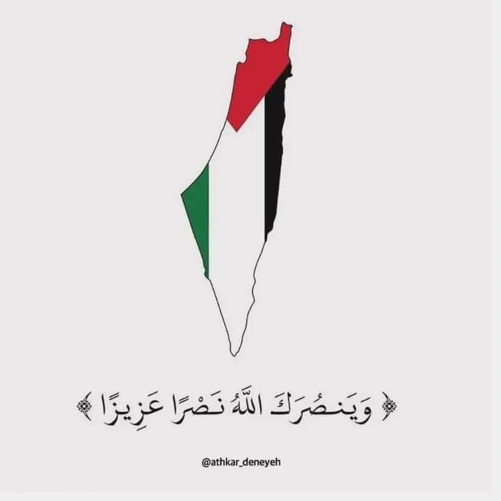 والله من العار على الامة العربية والإسلامية أن نترك إخواننا يموتون جوعا وأقصي مانفعله تفعيل هاشتاجات . ماذا نقول لله عز وجل 😢

#الشمال_يجوع
#شمال_غزة_يموت_جوعا 
#شمال_غزة_يموت_جوعاً