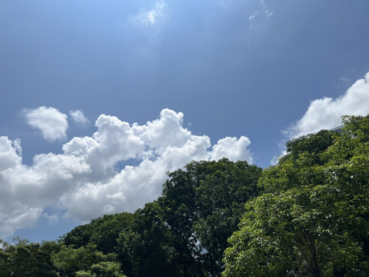 深圳的好天气啊 ～ 要回黄梅季的上海了唔......