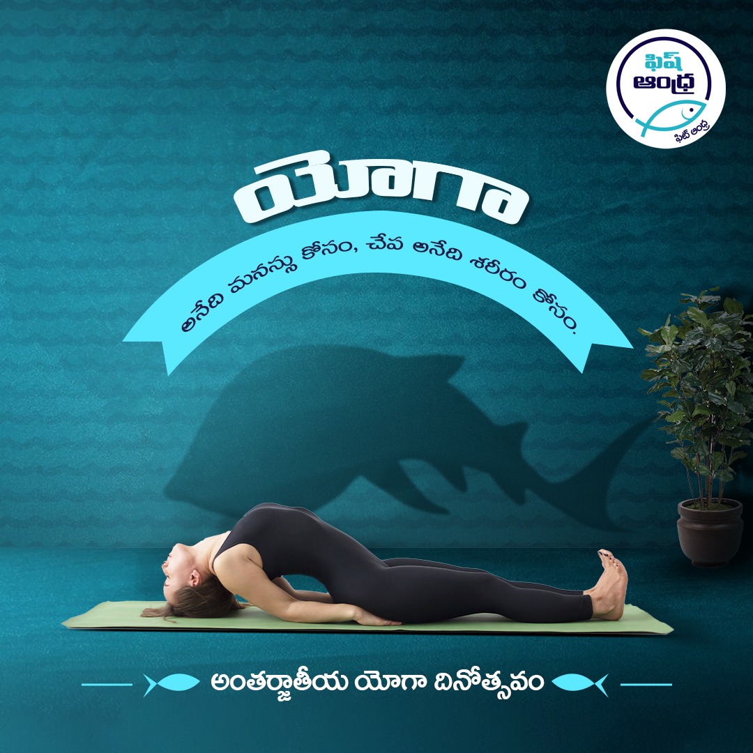 Fish Andhra tweet media