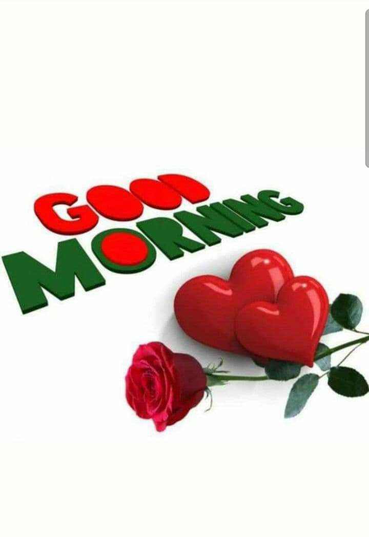 السلام علیکم ورحمتہ اللہ وبرکاتہ صبح بخیر سلامت شاد و آباد رہیں ہمیشہ سب دوست ❤️🌹
