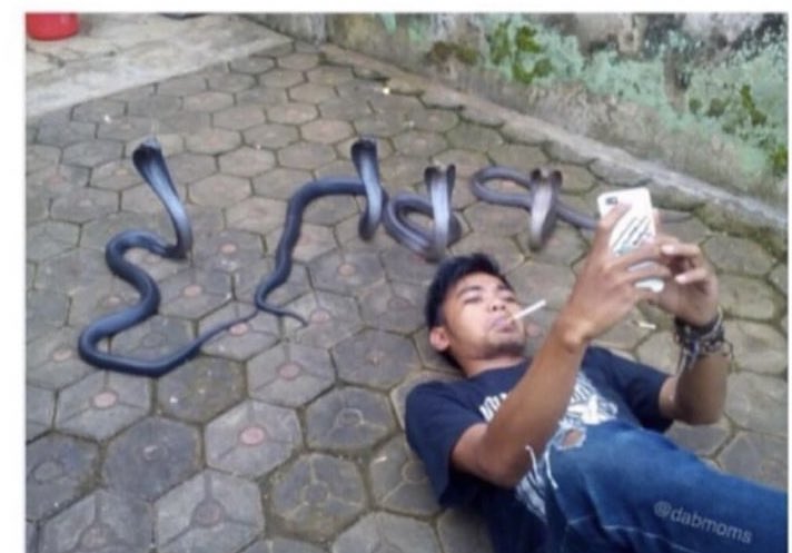 dmkdnzlv's tweet image. Found a pic of me with some of my old friends 
#FridayFreeForAll