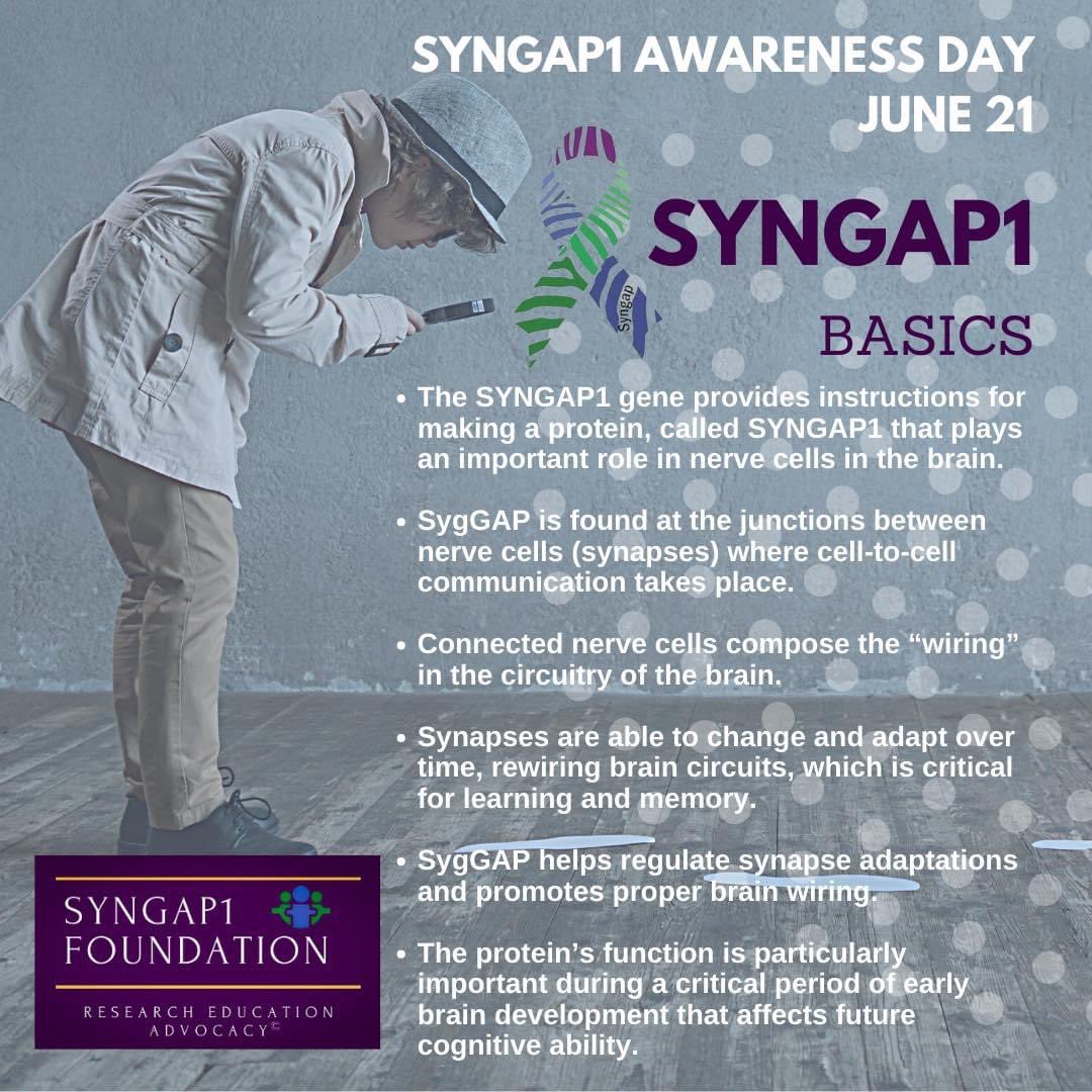 SYNGAP1 Foundation tweet media