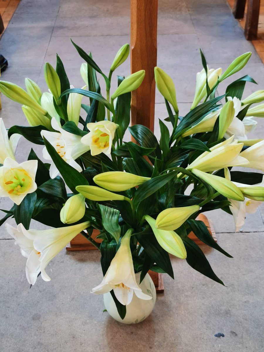 It’s our Flower Festival this weekend 10am-4pm Saturday 11am-5pm Sunday we have plants for sale Ploughman lunches, ice creams, enjoy the sunshine 🌞 do come and join in the celebrations