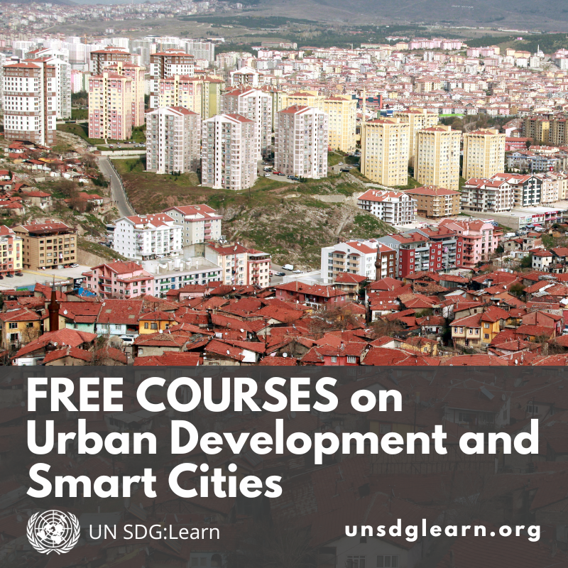 UN SDG:Learn tweet media