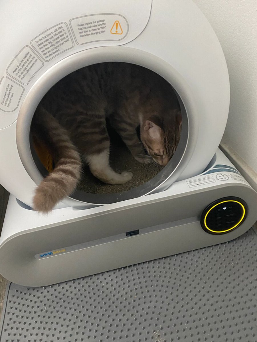 Watching my cat use the automatic litter box brings me joy. Knowing my pet is happy makes me feel delighted and pleased.