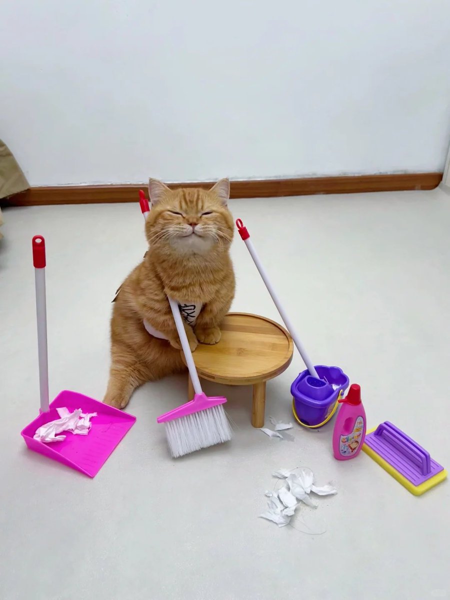 cats with jobs 🛠 tweet media