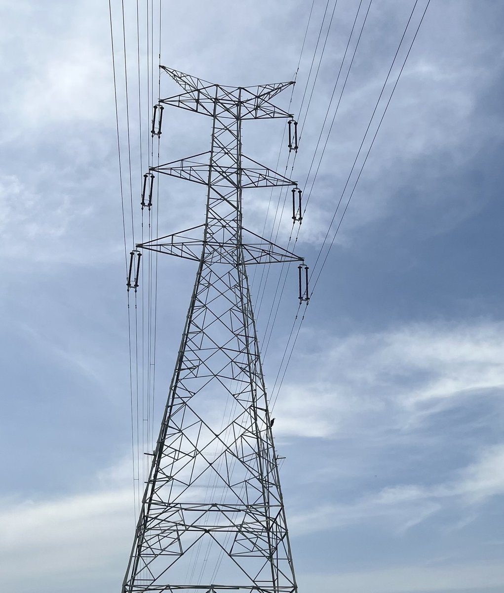 Inspecting tangible results of 🇳🇴 development cooperation in 🇺🇬 Nkenda-Hoima power line ⁦<a href="/NorwayInUganda/">NorwayInUganda</a>⁩ ⁦<a href="/uetcl/">UETCL</a>⁩ ⁦⁦<a href="/noradno/">Norad</a>⁩ ⁦<a href="/MEMD_Uganda/">Ministry of Energy & Mineral Development</a>⁩  ⁦<a href="/NorwayMFA/">Norway MFA</a>⁩ ⁦<a href="/irenebateebe/">Irene Bateebe</a>⁩
