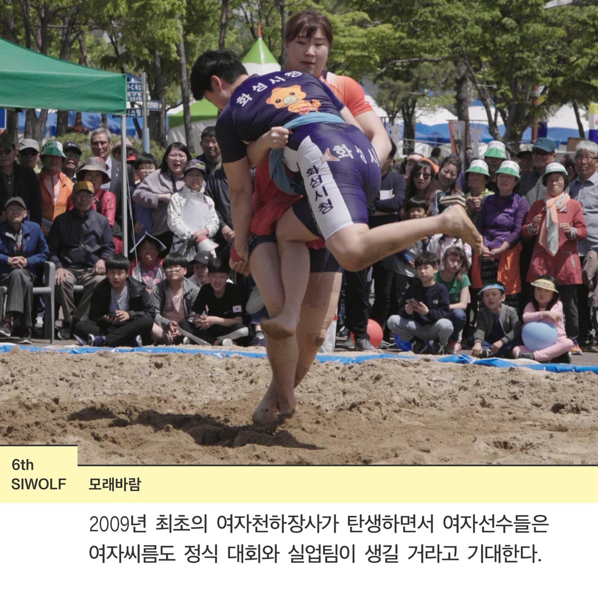 siwolf2019's tweet photo. [제6회 서울여성독립영화제 상영작 소개]

박재민, <모래바람>

2009년 최초의 여자천하장사가 탄생하면서 여자선수들은 여자씨름도 정식 대회와 실업팀이 생길 거라고 기대한다. 그 후 10년, 비인기 종목이라는 현실을 극복하고 살아남은 5명의 여자씨름선수들이 천하장사가 되기 위해 고군분투한다. https://t.co/WlFSyZlWMn