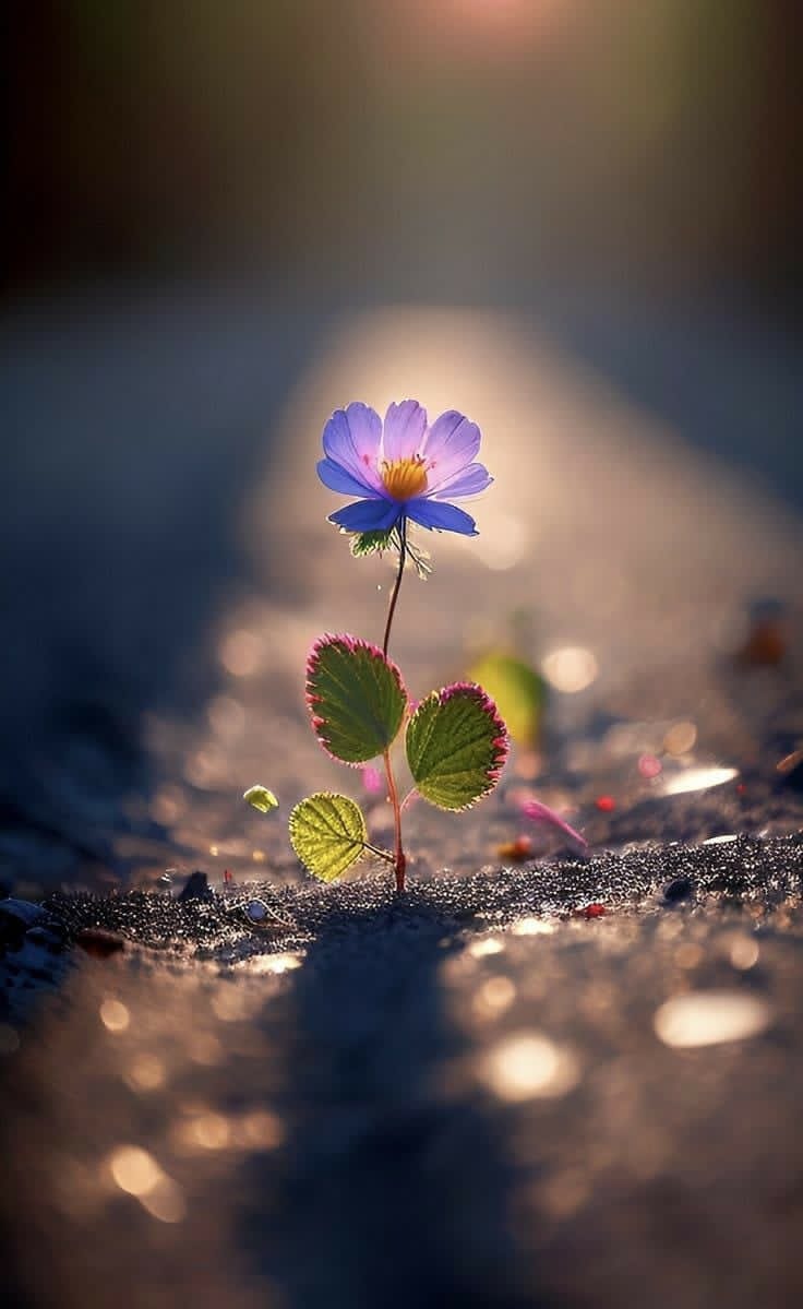 *كم تفرحنا كلمة "من عيوني" إذا أتتنا ممن نحبهم*

*فما بالك لو قالها لك ربك*

*"واصبر لحكم ربك فإنك بأعيننا"*
*جمال هذه الآية .. لا يوصف.*

*أسأل الله أن يرعانا ويرعاكم ومن تحبون بعينه التي لا تنام .*