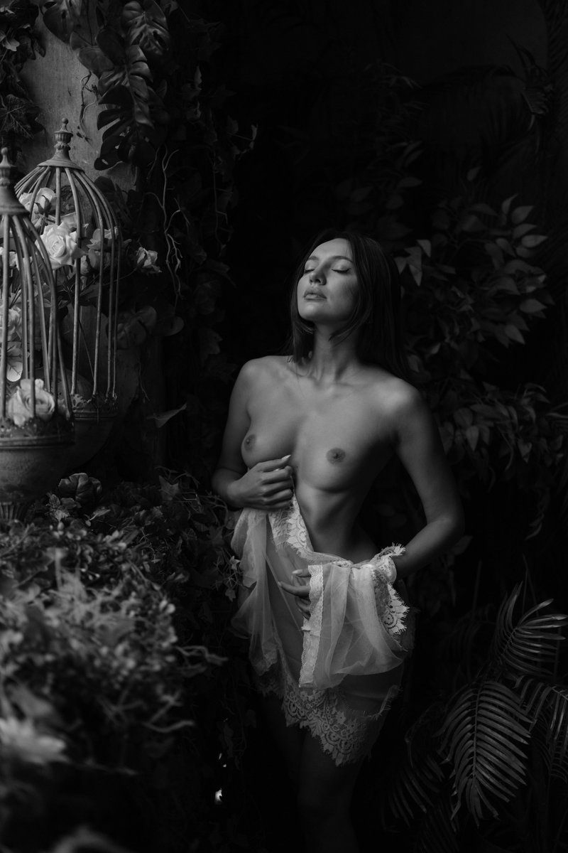 Pascal Thomas photography tweet media