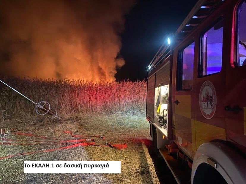 Ομάδα Εθελοντών Δασοπυροσβεστών Διασωστών tweet media