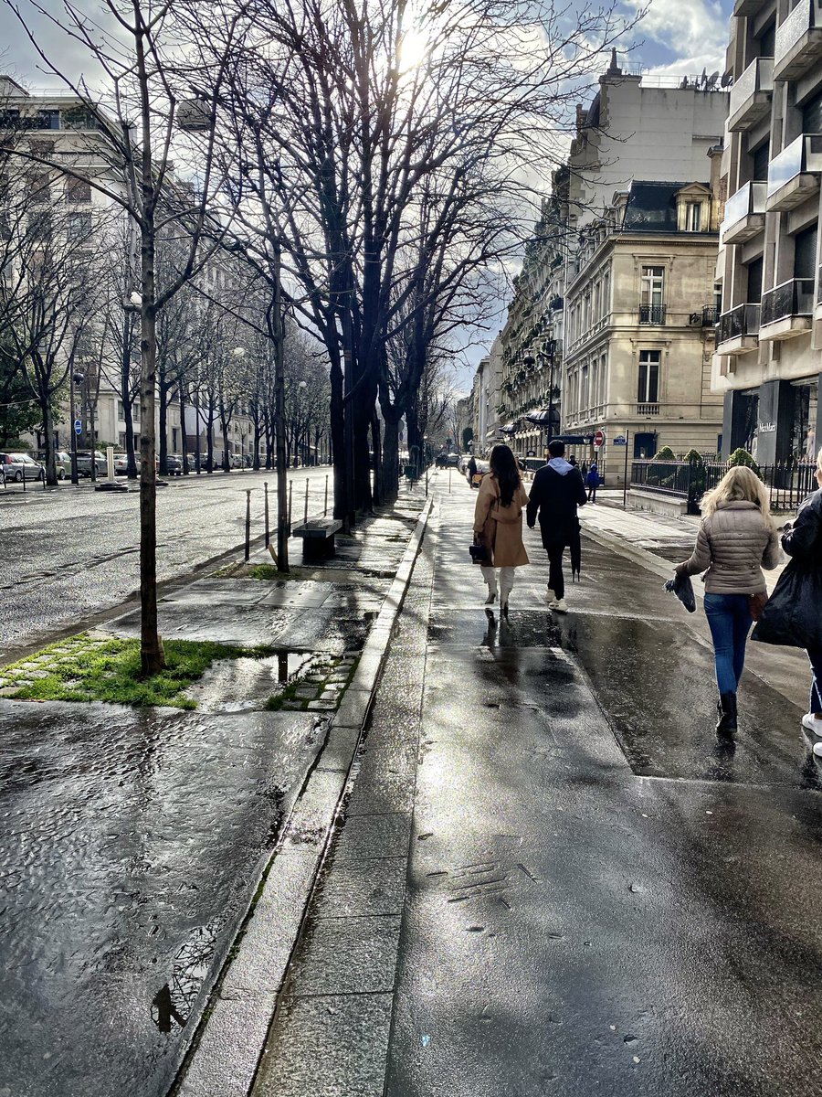 LindaMathieu's tweet photo. After the rain in Paris. https://t.co/uXY7nqgIk0