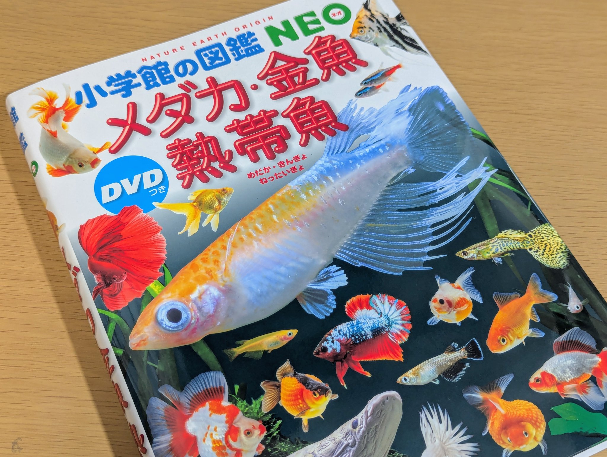 図鑑NEO メダカ・金魚・熱帯魚 （丸善 ヒルズウォーク徳重店 on