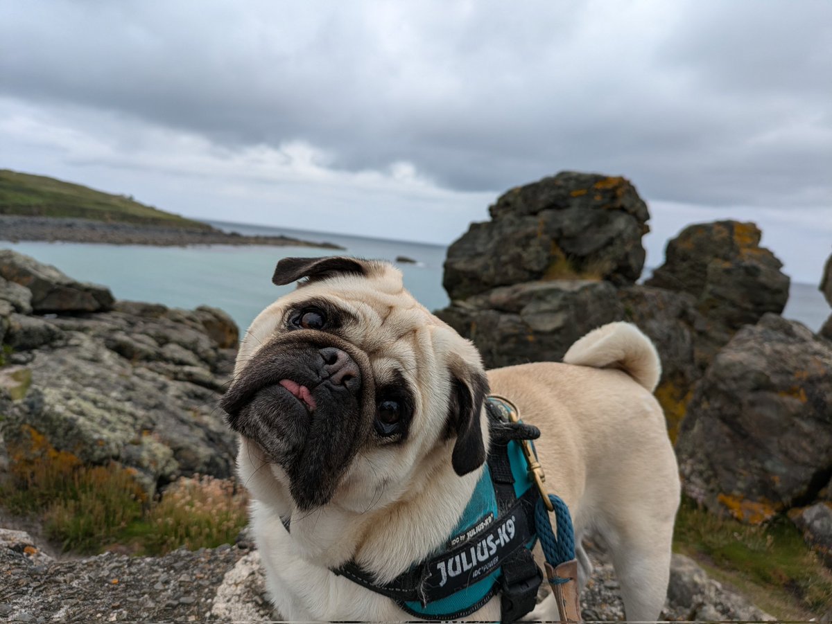 tom_pvfc's tweet image. Is it really the last day of our holiday?