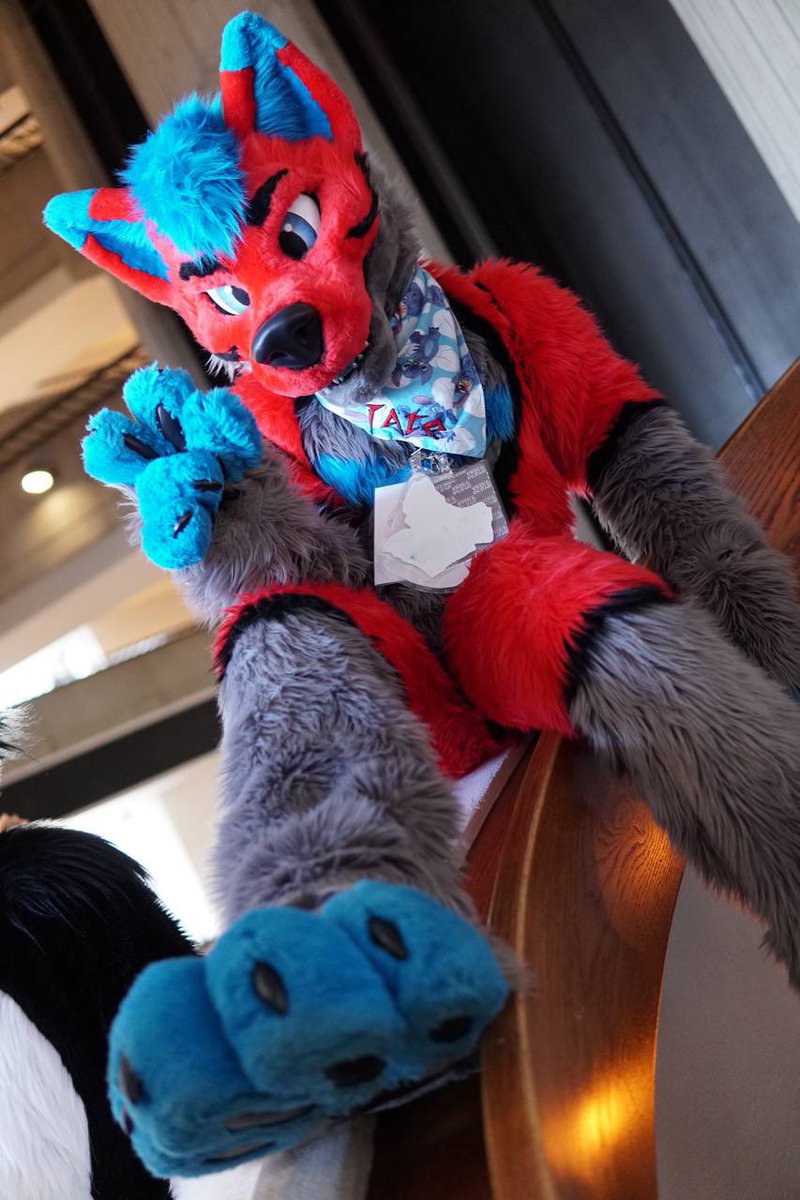TateStrikerWolf's tweet photo. Happy #FursuitFriday everyone!! Hope all you beans are being the best floofs yall can be! Much love! 🩵❤️⚡️

👔by: @WaggeryCos https://t.co/Kq5w1urT70