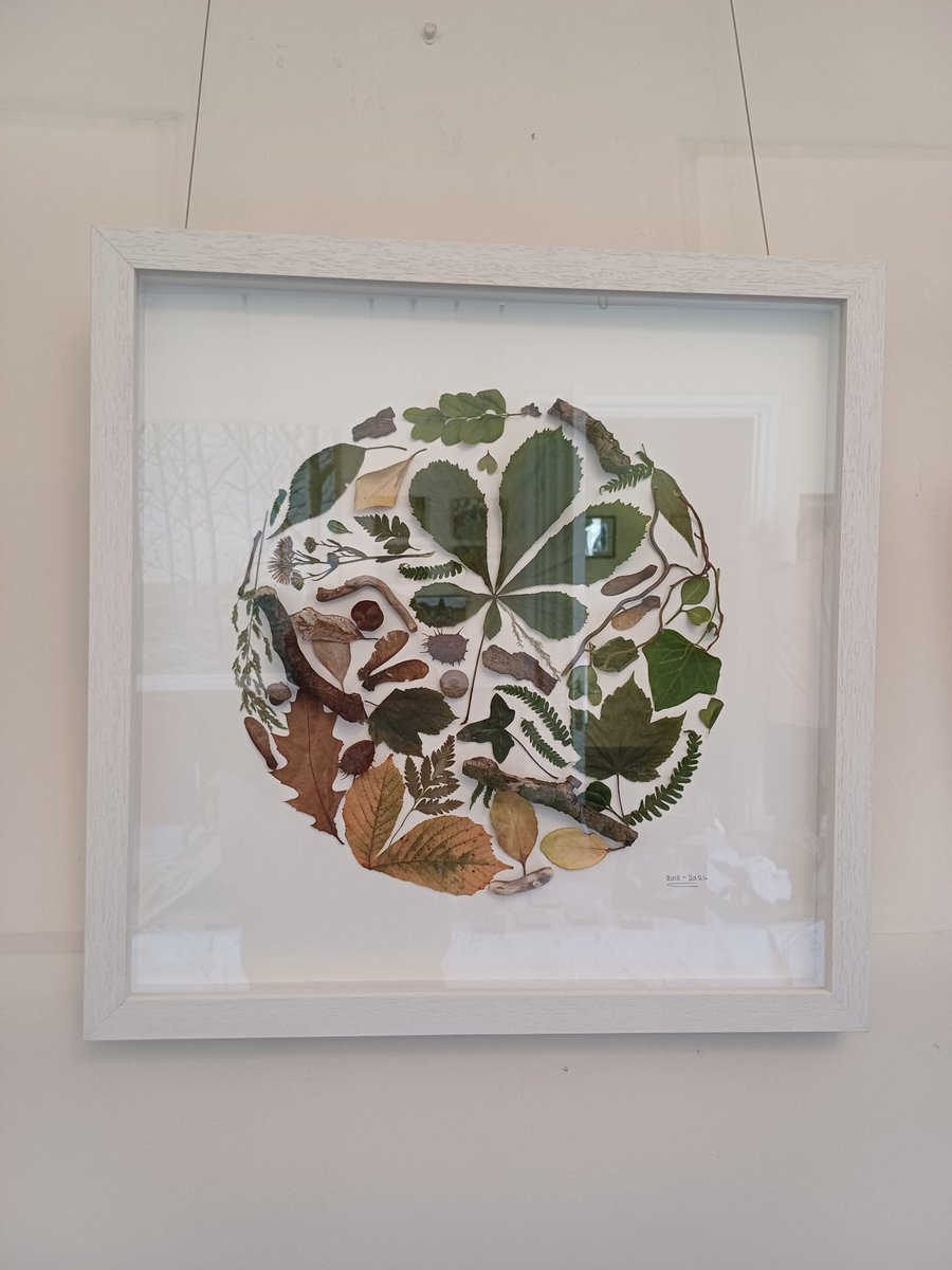 Siobhán O'Reilly (@siobhanoreilly_) on Twitter photo Incredible to see the final exhibition for the Company of Trees project in Clonakilty yesterday. Intergenerational programmes are so important for communities. This is a credit to Liz Twomey (creative director), the Gransterz, the students, and all those involved in Kilmeen NS Incredible to see the final exhibition for the Company of Trees project in Clonakilty yesterday. Intergenerational programmes are so important for communities. This is a credit to Liz Twomey (creative director), the Gransterz, the students, and all those involved in Kilmeen NS