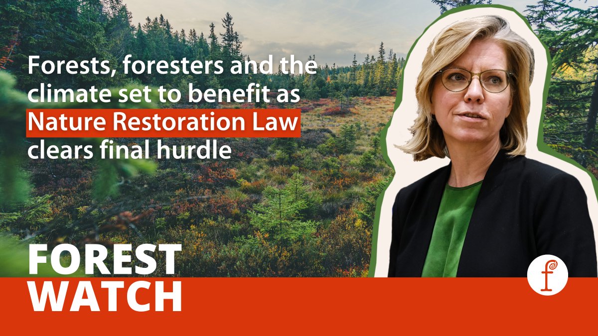 Fern (@fern_ngo) on Twitter photo 🌲 After many twists & turns, the #NatureRestorationLaw was finally approved!
Passing this landmark regulation is a defining moment in the fight to increase #biodiversity & restore #EU's damaged natural habitats & #forests.
Read the latest #ForestWatch👇
fern.org/publications-i… 🌲 After many twists & turns, the #NatureRestorationLaw was finally approved!
Passing this landmark regulation is a defining moment in the fight to increase #biodiversity & restore #EU's damaged natural habitats & #forests.
Read the latest #ForestWatch👇
fern.org/publications-i…