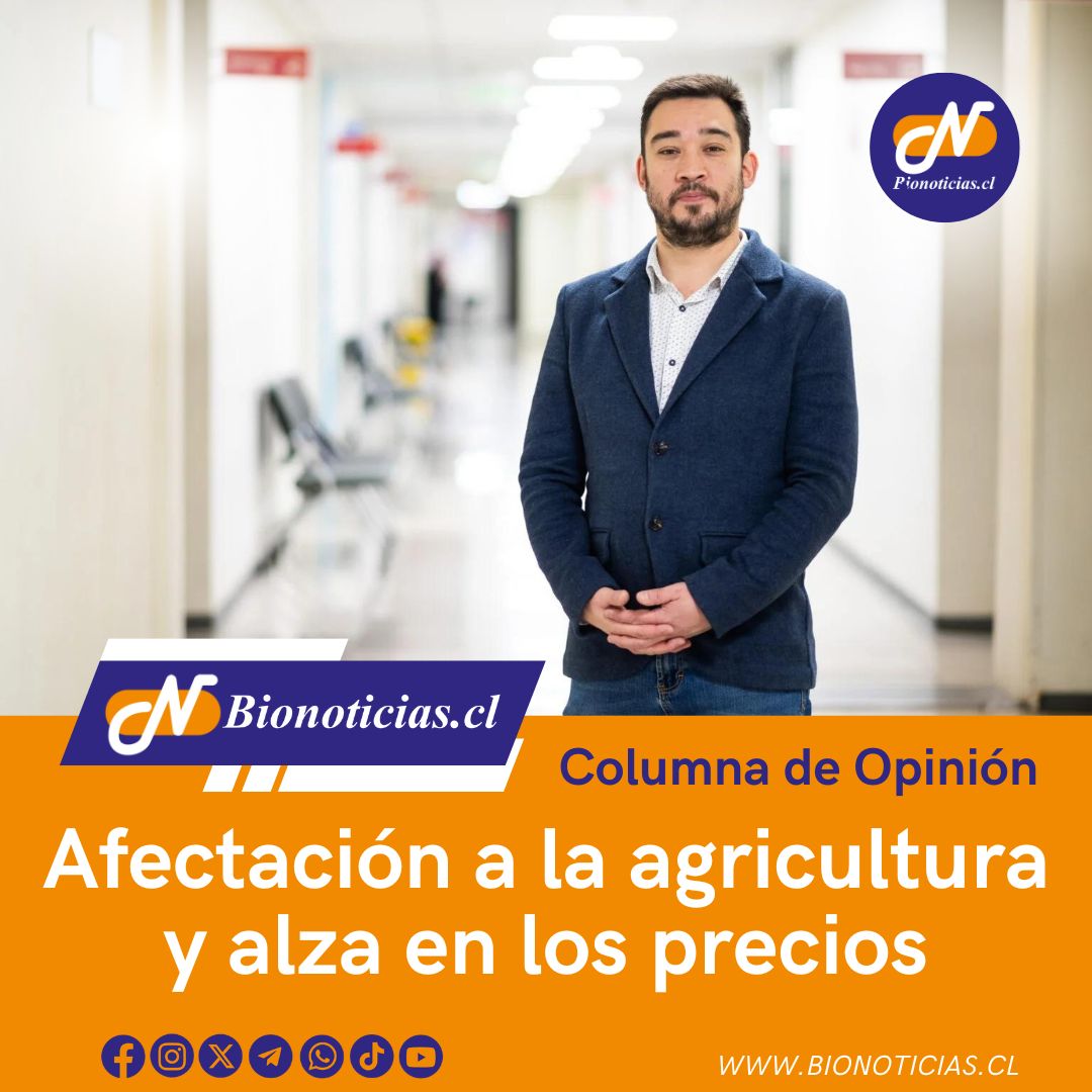 CHANDIAFER's tweet image. Afectación a la agricultura y alza en los precios
Columna de opinión de Camilo Cornejo Orellana, Ingeniero Agrónomo, Académico Ingeniería Comercial Universidad Andrés Bello
bionoticias.cl/afectacion-a-l… 
#Agricultura #Afectación #AlzaDePrecios #Economía #CrisisAgrícola