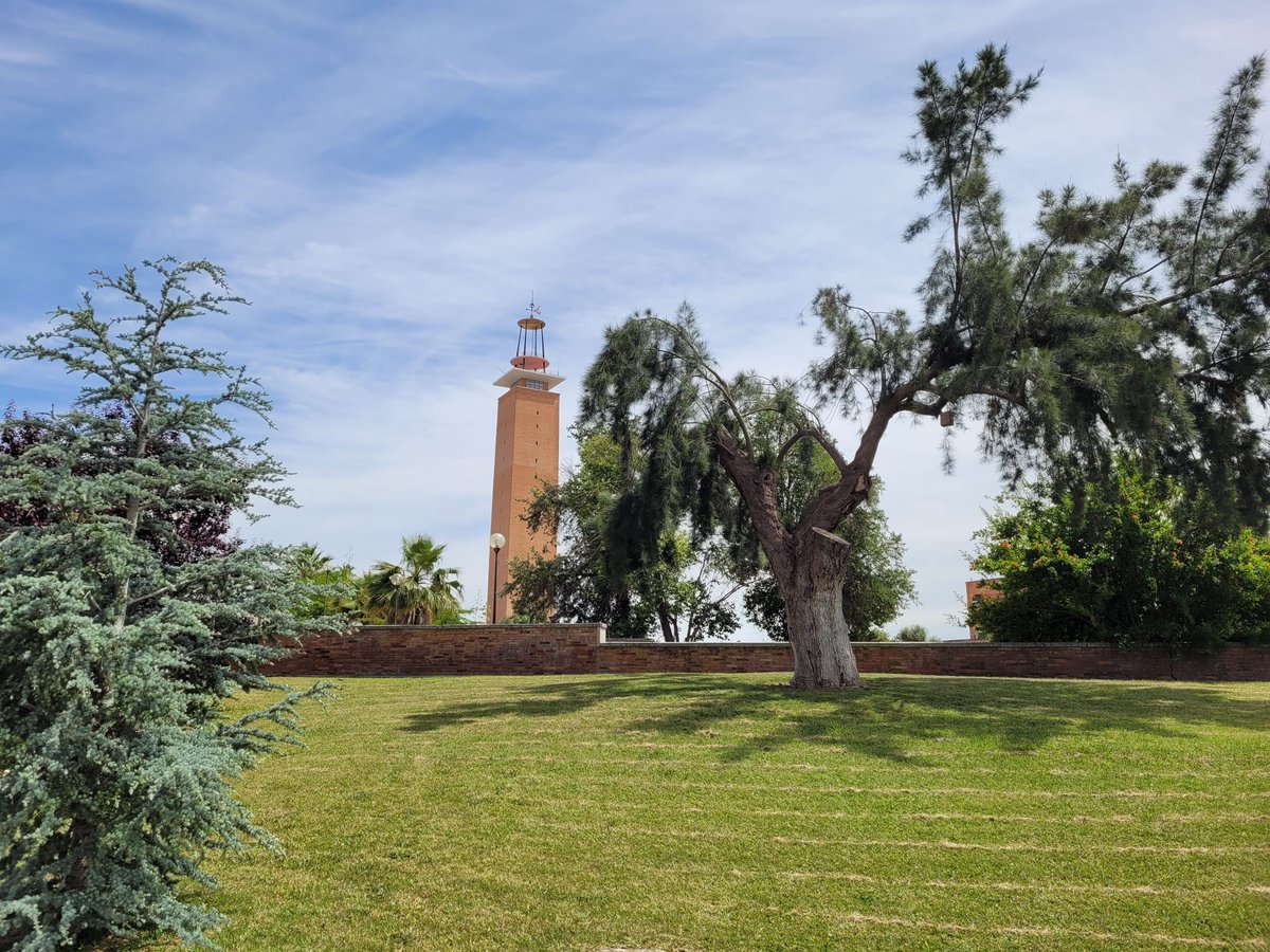 It is officially Summer! 🌝🎉 Enjoy the sunny vibes and nature sounds around campus and remember...Holidays are around the corner💐 🌼 🌳🌻

#cuiupo #upo #summerprograms #studyabroad #studyaway #education #studyabroadinseville #spain #seville
