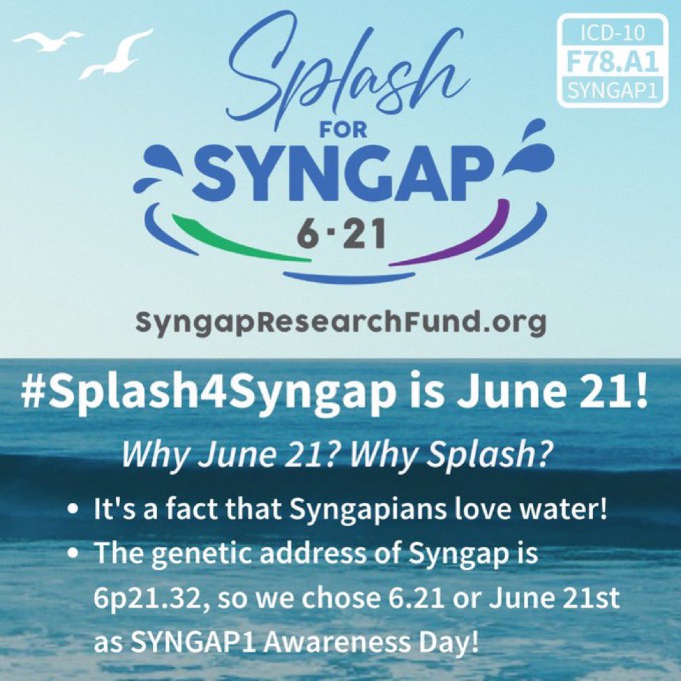 FiladelfiaGene1's tweet image. Today is #SYNGAP1 awareness day 💜

Symptoms vary between individuals but may include: intellectual disability, #epilepsy, speech delay, autism, as well as sleep and behavioral disorders ‼️

Syngapians love water! Join the  #Splash4Syngap campain &amp;amp; help them raising awareness 💜