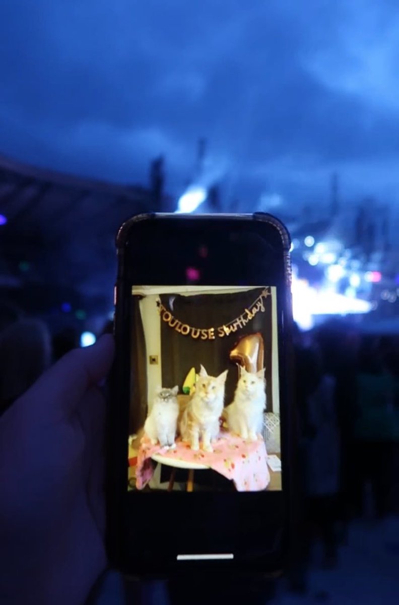 noitsgeorgia's tweet photo. Who wants to come meet Rex outside Wembley tomorrow?? @taylornation13 @taylorswift13 #erastourlondon #erastour #erastourtaylorswift #friendshipbracelets https://t.co/7sYGXop7L8