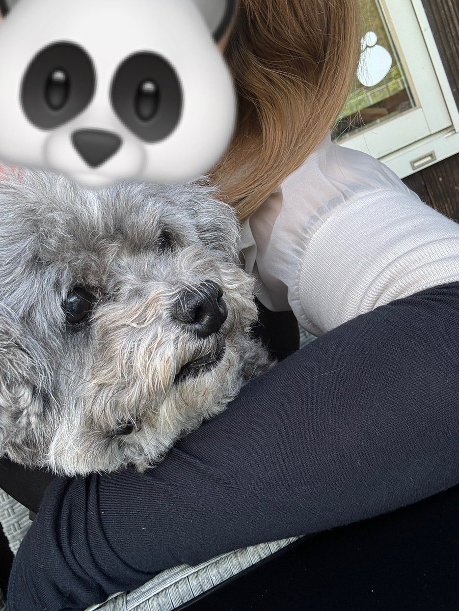 先日は愛犬とドッグランで走り回ってきました☀️☀️
今年の夏はわんこと一緒にダイエット頑張る😤
そろそろカット行かんとボサボサかわいい

本日数日前から完売🈵！！
お兄さん方！！気をつけていらしてくださいね！！🥰