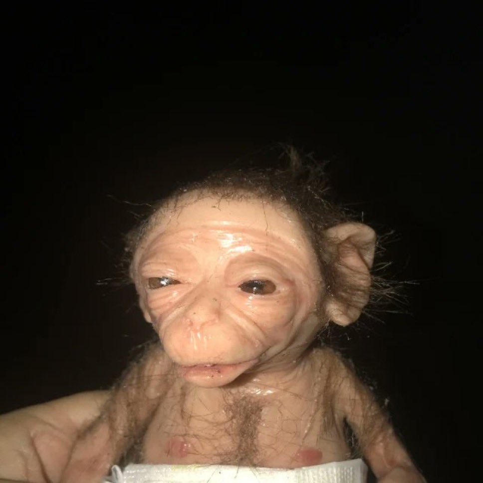 💀 🎀 𝑅𝒾𝓃 🎀 💀 tweet media