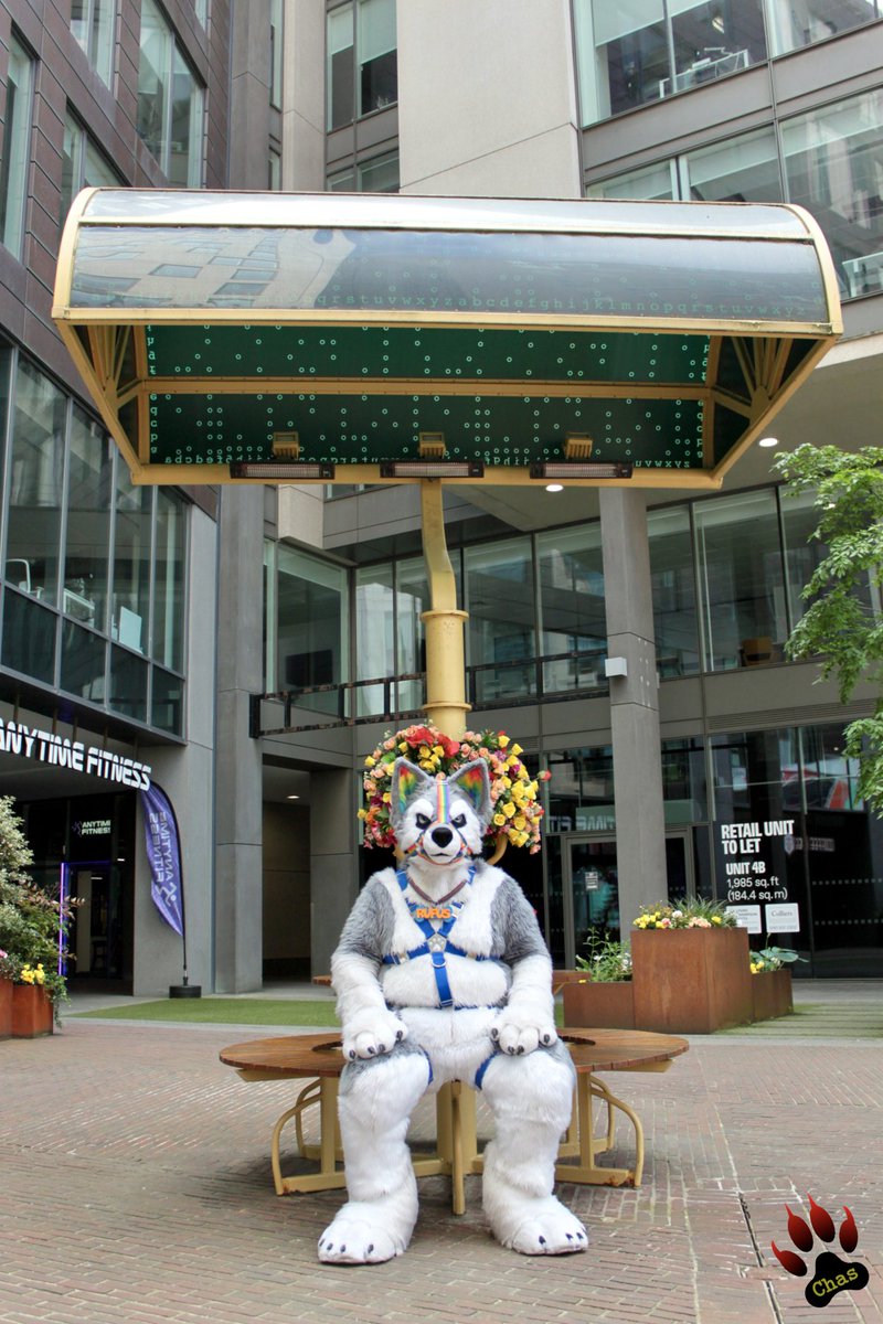 Rufus encountering shade-y places: the Manchester Lamps

located nearby Piccadilly Station these pieces of art do even have a meaning: contemporist.com/giant-lamps-in…

📸 <a href="/PupchasAD/">PupchasAD 🔜 GBUK/Folsom (Bluesky and Mastodon)</a> 

#Manchester #fursuit #fursuiter #fursuiteveryday #manchesterlamps